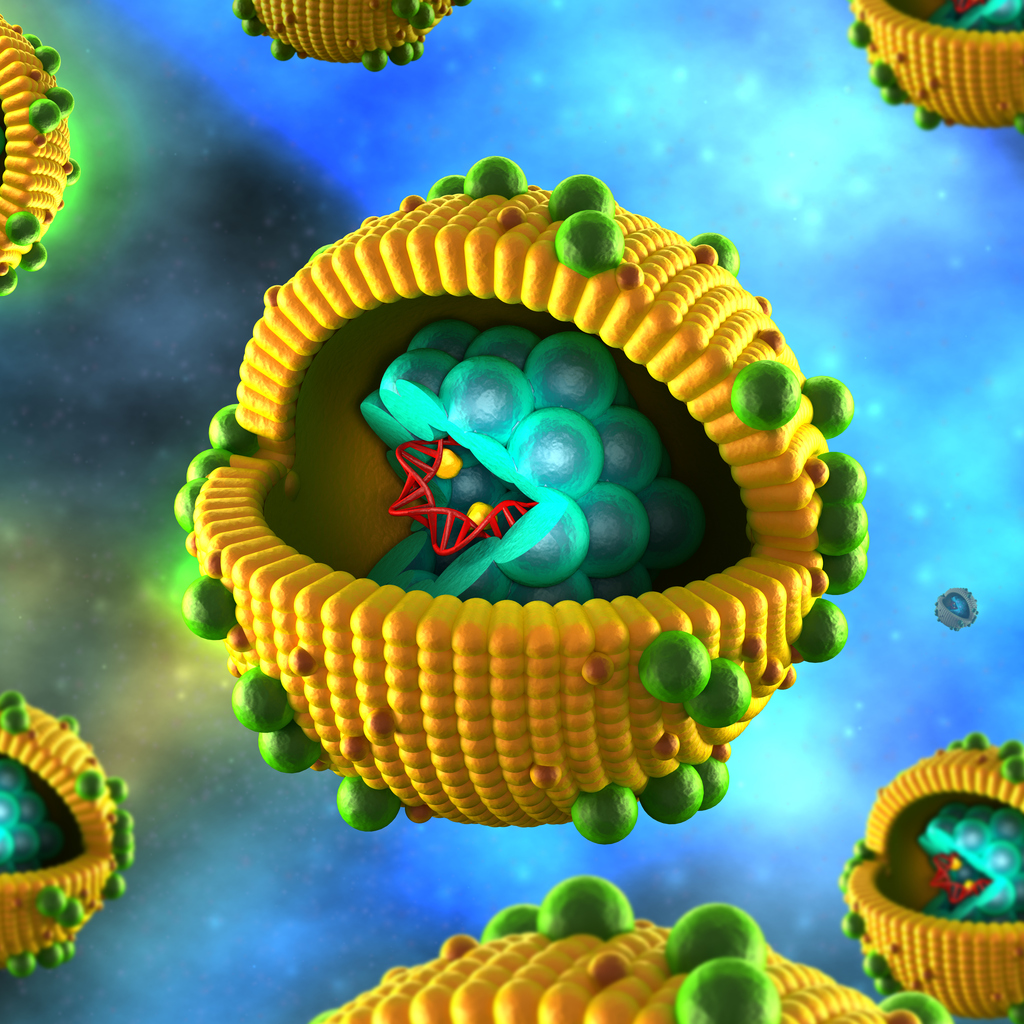 Hepatitis Virus Cell – in detailed view